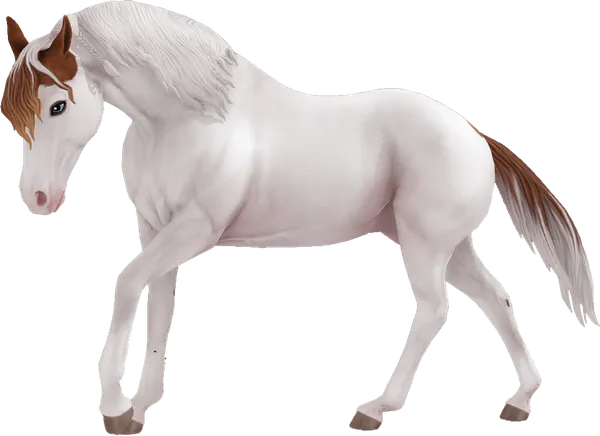 American Paint Horse, Chestnut Medicine Hat