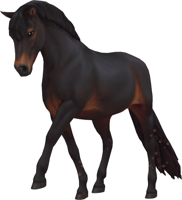 Dartmoor in Star Stable Online