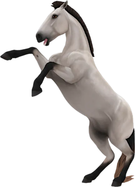 Mustang, Buttermilk Buckskin
