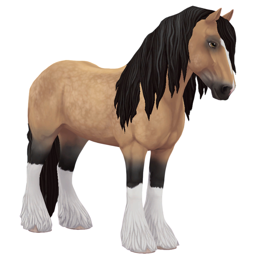 Irish Cob in Star Stable Online
