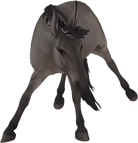 Mule, Grullo
