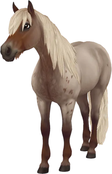 Haflinger, Flaxen Red Roan