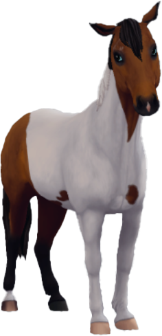 Chincoteague Pony in Star Stable Online