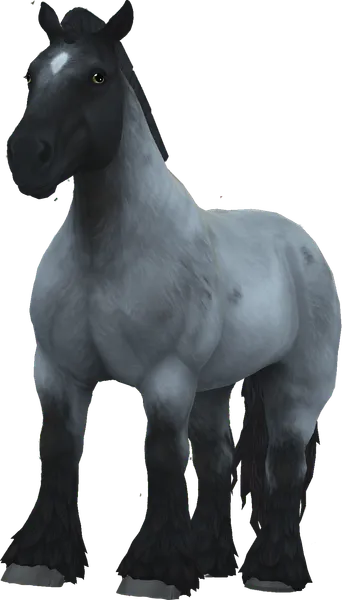 Brabant, Blue Roan
