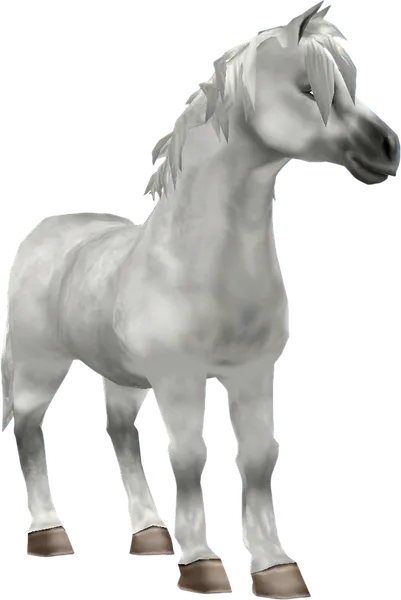 Jorvik Pony, Light Grey