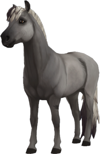 Fjord in Star Stable Online