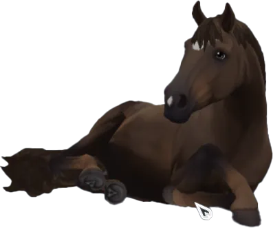 Finnhorse, Sun Bleached Black