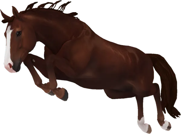 Hanoverian, Liver Chestnut