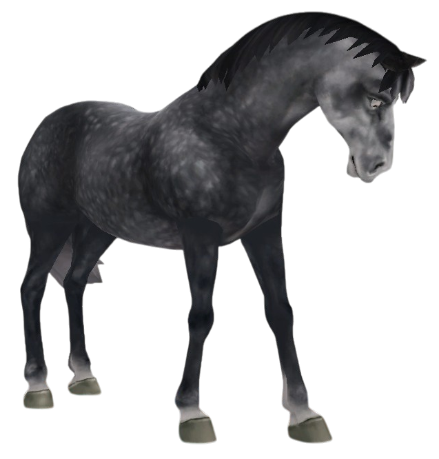 Oldenburg in Star Stable Online