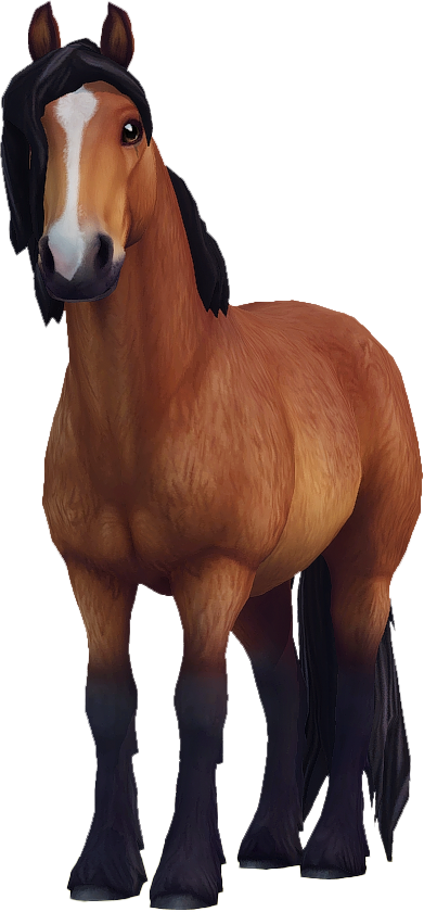 North Swedish Horse in Star Stable Online