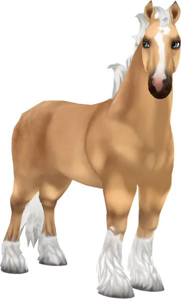 Whinfell, Palomino