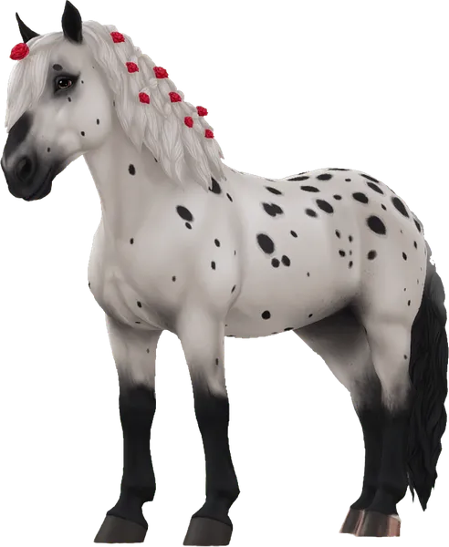 Noriker, Black Leopard Varnish Roan