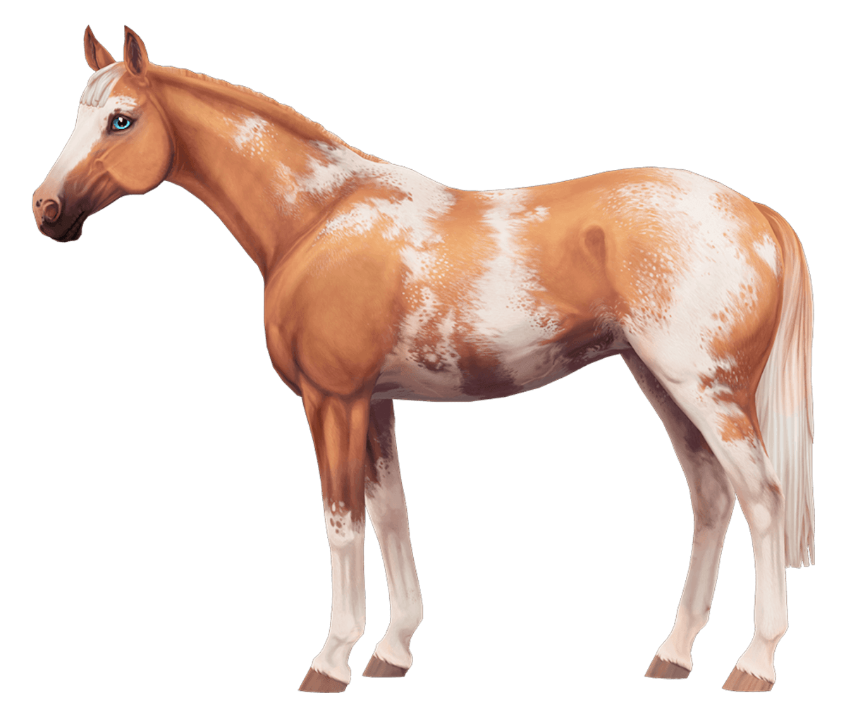 English Thoroughbred in Star Stable Online