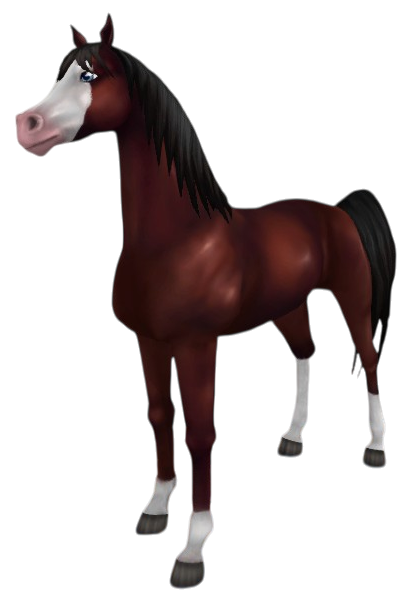 Arabian Thoroughbred in Star Stable Online