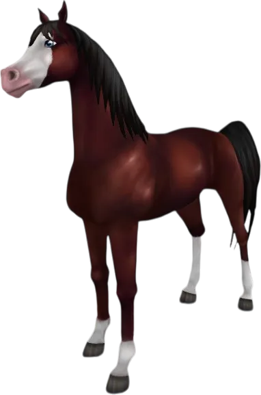 Arabian Thoroughbred, Cherry Bay