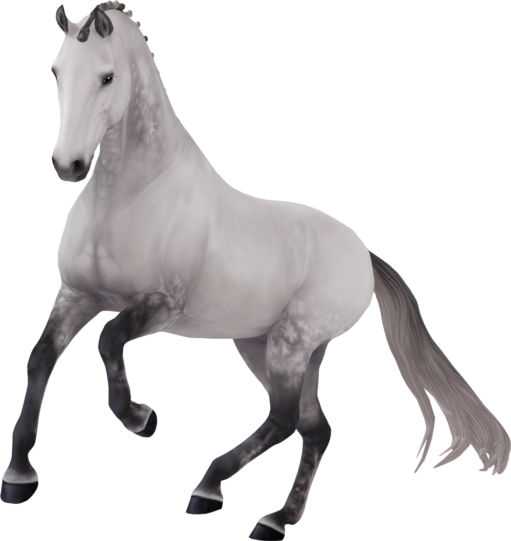 Dutch Warmblood in Star Stable Online