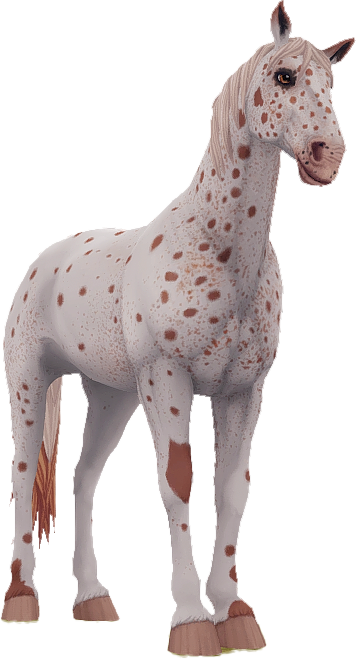 Knabstrupper in Star Stable Online
