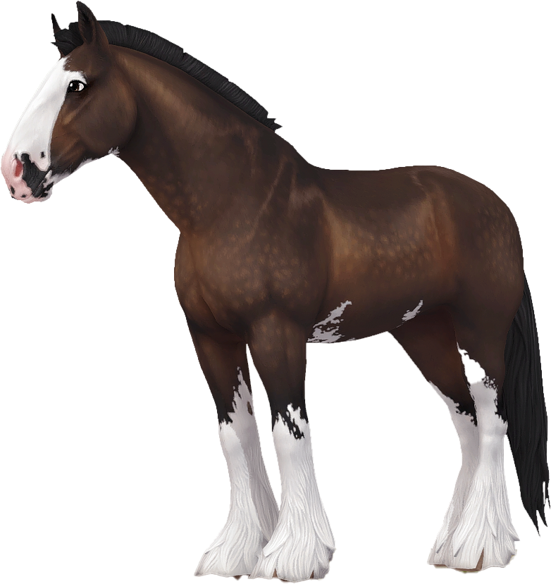 Shire in Star Stable Online