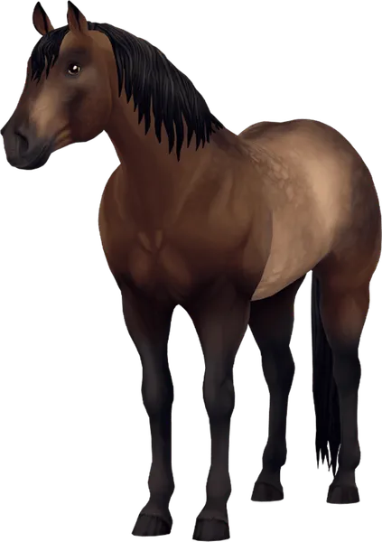 Jorvegian Quarter Horse, Sooty Buckskin