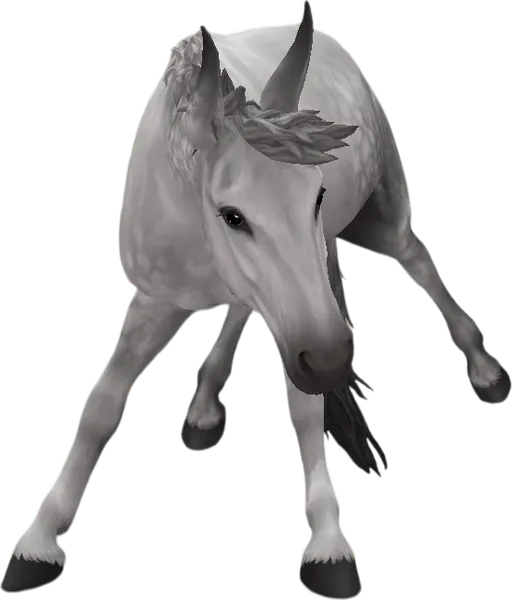 Mule, Dapple Grey