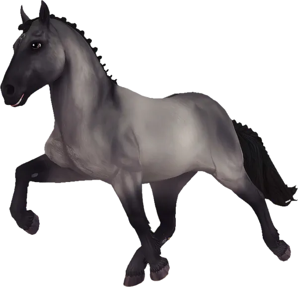 Icelandic Horse, Grullo