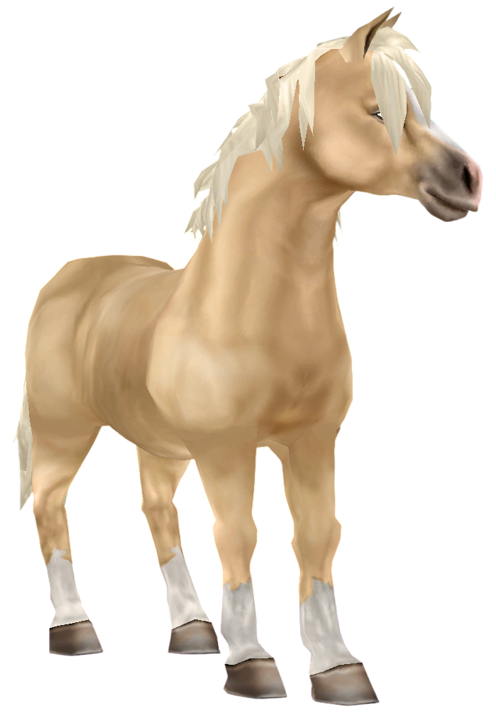 Jorvik Pony in Star Stable Online