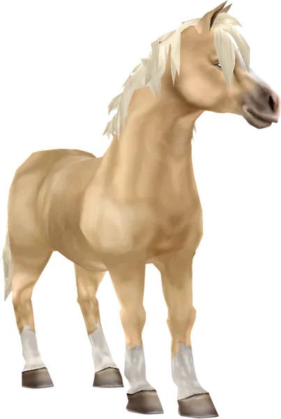 Jorvik Pony, Palomino