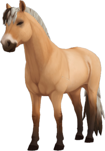 Fjord in Star Stable Online