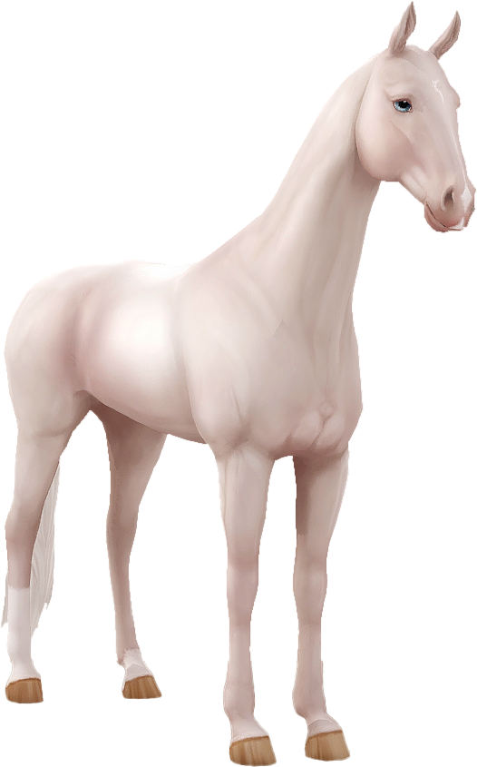 Akhal Teke in Star Stable Online