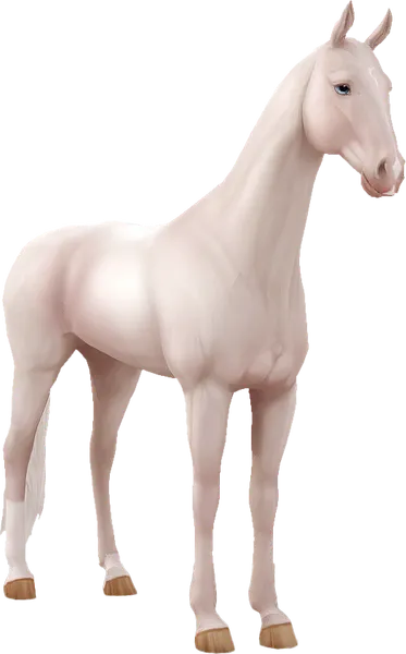 Akhal Teke, Cremello