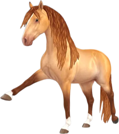 Andalusian, Buckskin Pearl