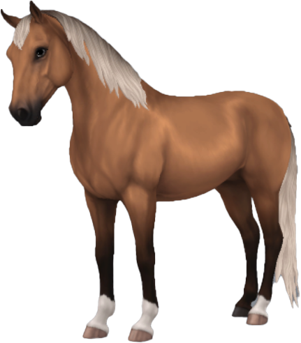 Morgan in Star Stable Online
