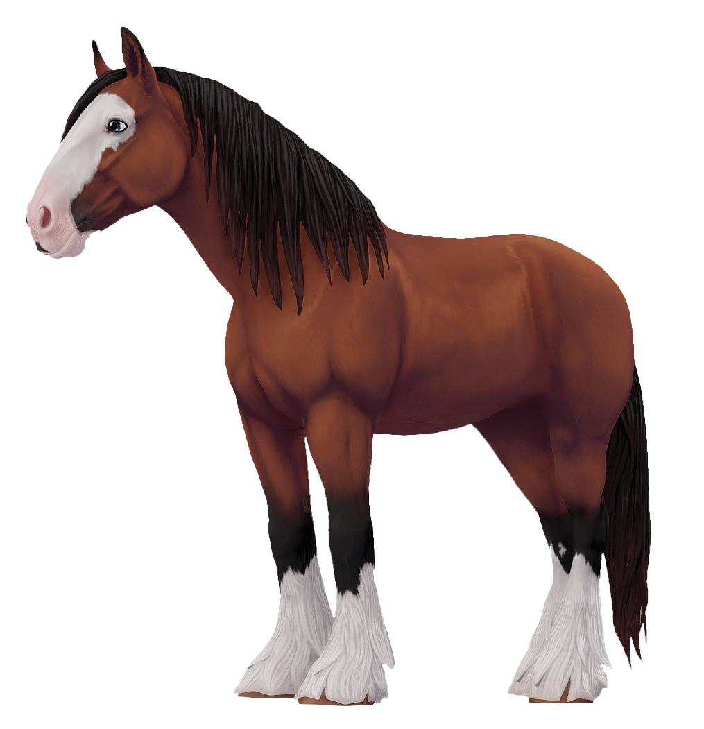 Shire in Star Stable Online