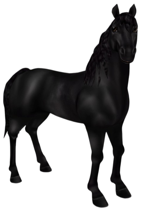 Morgan in Star Stable Online