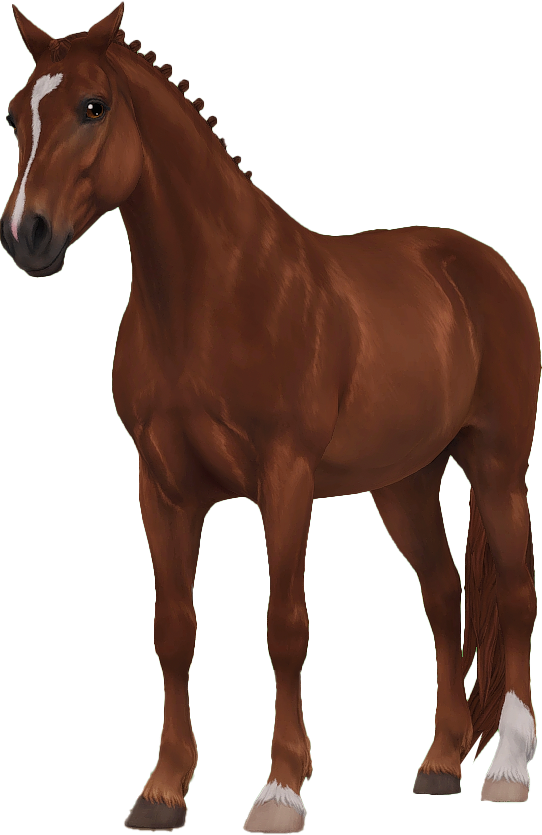 Connemara in Star Stable Online