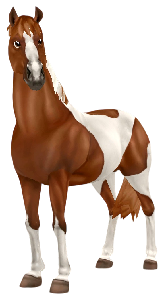 American Paint Horse in Star Stable Online