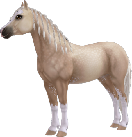 Welsh Pony in Star Stable Online
