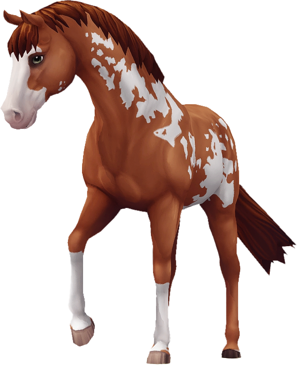 Jorvik Warmblood in Star Stable Online