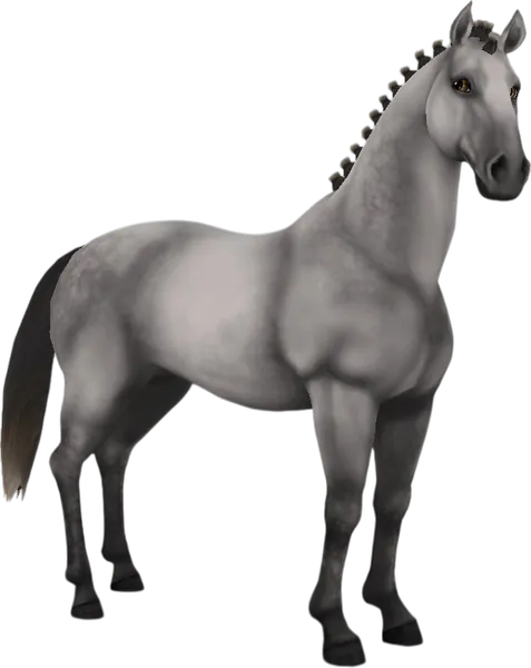 Lipizzaner, Light Dapple Grey