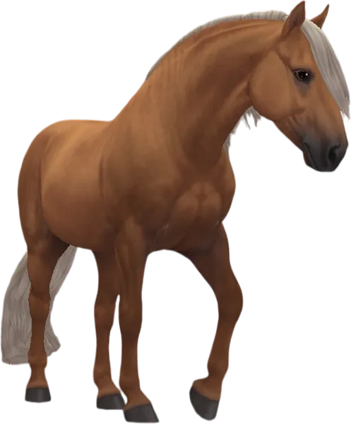 Criollo, Palomino