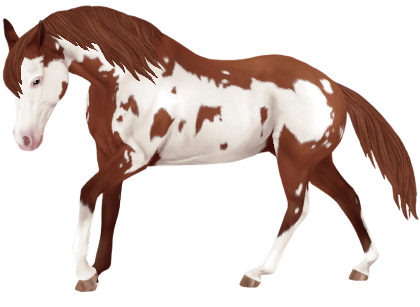 American Paint Horse in Star Stable Online