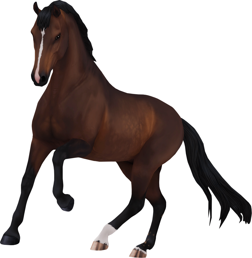 Dutch Warmblood in Star Stable Online