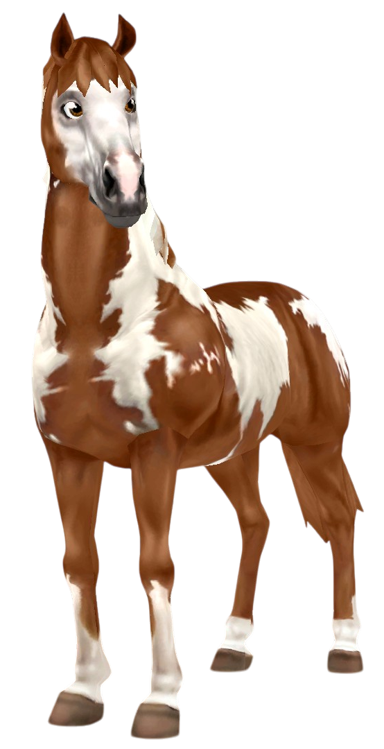 American Paint Horse in Star Stable Online