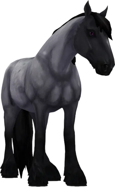 Clydesdale, Blue Roan