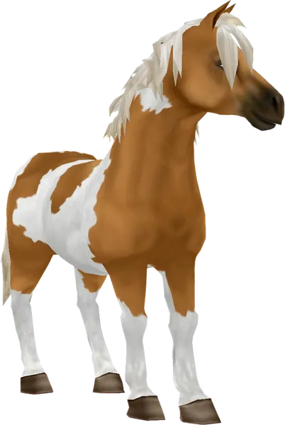 Jorvik Pony, Palomino Pinto