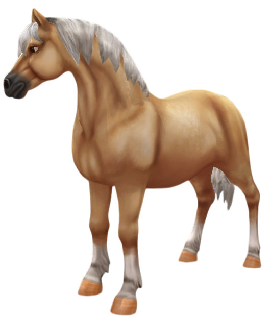 Welsh Pony in Star Stable Online