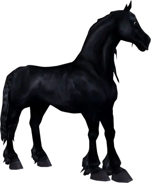 Friesian, Coal Black