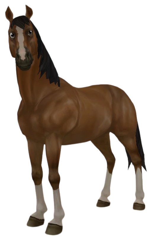 Dutch Warmblood in Star Stable Online