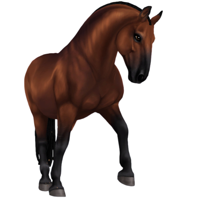 Lipizzaner in Star Stable Online
