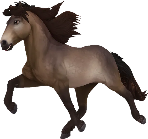 Icelandic Horse, Dapple Bay Pangare